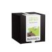 Tisane Pays de Saint Malo