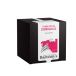 Tisane Pays de Cornouaille
